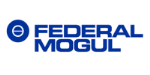 Federal Mogul Federal Mogul